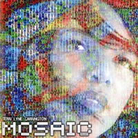 The Mosaic Project - Terri Lyne Carrington